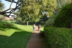 They're off to school!